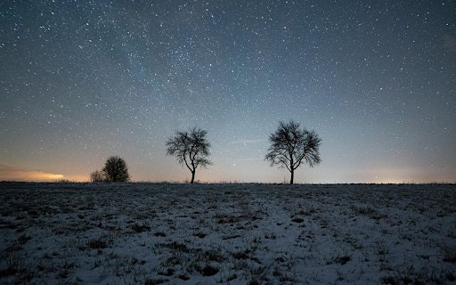 Winter Stars and Silent Trees  from Chrome web store to be run with OffiDocs Chromium online