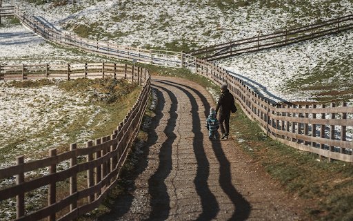 Winter Stroll on a Snowy Rural Path in Austria  from Chrome web store to be run with OffiDocs Chromium online