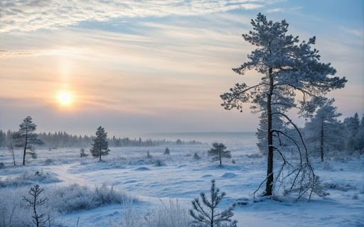 WINTER Theme  from Chrome web store to be run with OffiDocs Chromium online