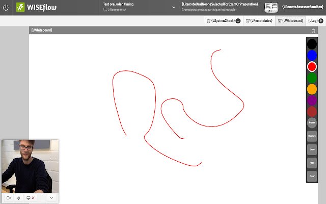 WISEflow Screen Sharing  from Chrome web store to be run with OffiDocs Chromium online