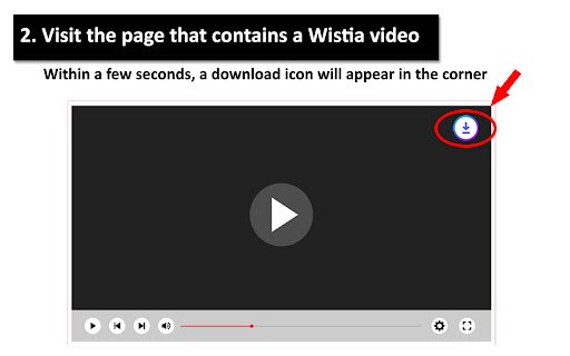Wistia Video Downloader Plus  from Chrome web store to be run with OffiDocs Chromium online