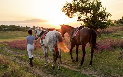 Woman leading two horses in sunset landscape  from Chrome web store to be run with OffiDocs Chromium online
