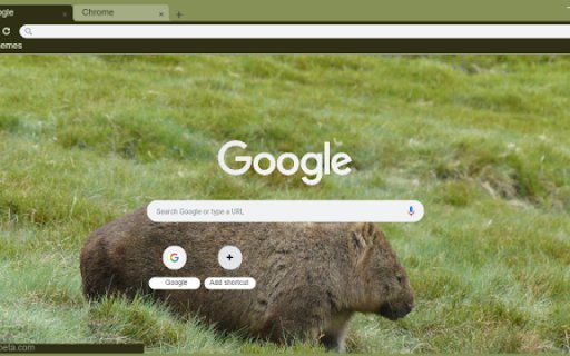 Wombat  from Chrome web store to be run with OffiDocs Chromium online