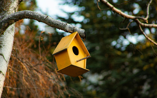 Wooden bird nest  from Chrome web store to be run with OffiDocs Chromium online