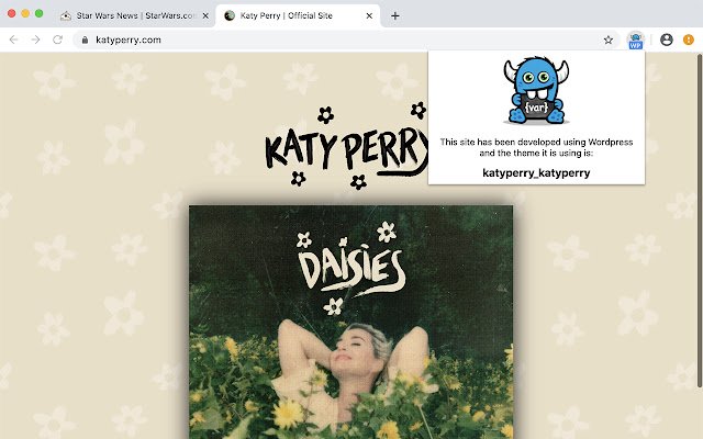 Wordpress Theme Checker by SnippetsBoard  from Chrome web store to be run with OffiDocs Chromium online