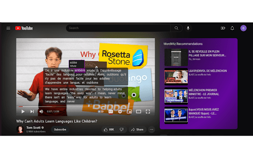 WordWiz Chrome Extension  from Chrome web store to be run with OffiDocs Chromium online