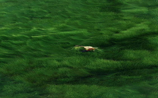 Working farmer wallpaper  from Chrome web store to be run with OffiDocs Chromium online