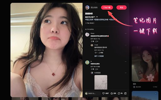 XiaoHongShu Video Downloader  from Chrome web store to be run with OffiDocs Chromium online