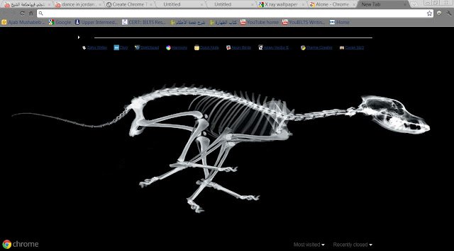 X Ray Dog מחנות האינטרנט של Chrome להפעלה עם OffiDocs Chromium באינטרנט