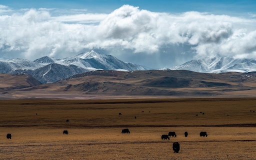 Yak Valley Serenity  from Chrome web store to be run with OffiDocs Chromium online