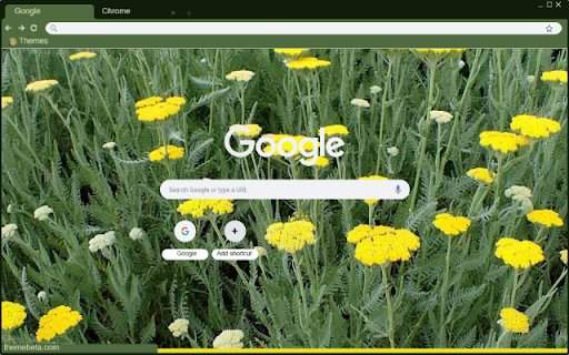Yarrow Moonshine  from Chrome web store to be run with OffiDocs Chromium online
