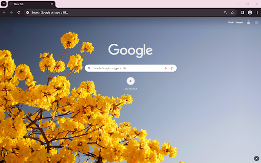 Yellow apricot flower Browser Theme  from Chrome web store to be run with OffiDocs Chromium online