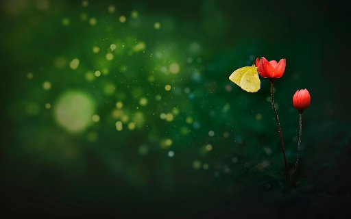 Yellow Butterfly Red Flowers  from Chrome web store to be run with OffiDocs Chromium online