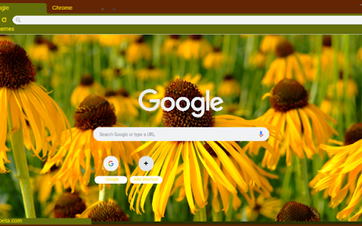 Yellow Coneflower  from Chrome web store to be run with OffiDocs Chromium online