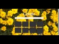 Yellow Flower Theme  from Chrome web store to be run with OffiDocs Chromium online