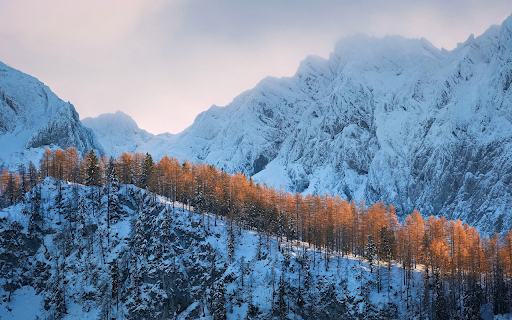 Yellow leaf forest  from Chrome web store to be run with OffiDocs Chromium online