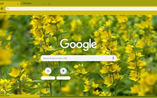Yellow Loosestrife  from Chrome web store to be run with OffiDocs Chromium online