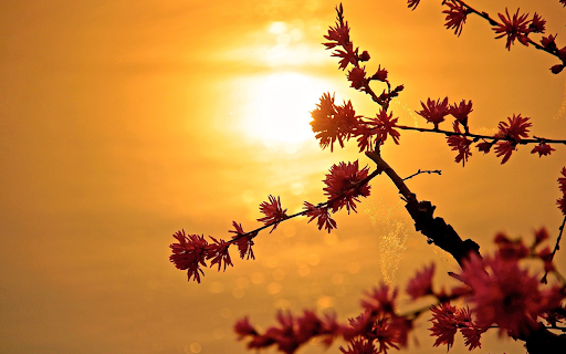 Yellow sun  from Chrome web store to be run with OffiDocs Chromium online