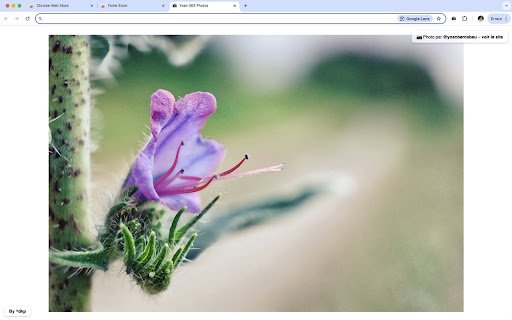 Yoan 365 Photos – Nouvel onglet  from Chrome web store to be run with OffiDocs Chromium online