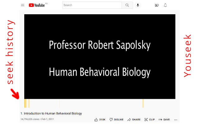 Youseek Youtube Seek History Manager  from Chrome web store to be run with OffiDocs Chromium online