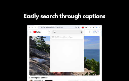 YouTube Captions Search  from Chrome web store to be run with OffiDocs Chromium online