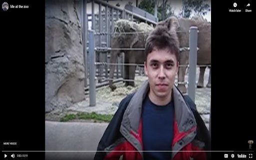YouTube Embed Video  from Chrome web store to be run with OffiDocs Chromium online