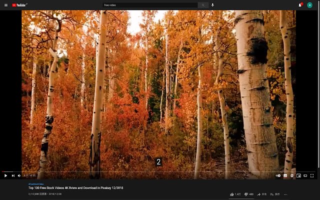 Youtube for Zen Mode  from Chrome web store to be run with OffiDocs Chromium online