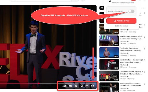 YouTube PiP Pro  from Chrome web store to be run with OffiDocs Chromium online