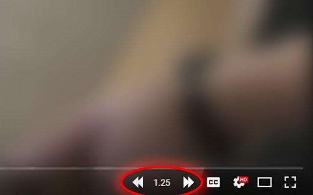 YouTube Player Speed Controls  from Chrome web store to be run with OffiDocs Chromium online
