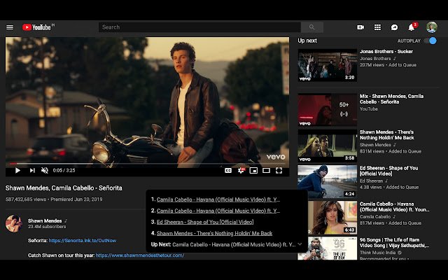 Youtube Playlist  from Chrome web store to be run with OffiDocs Chromium online