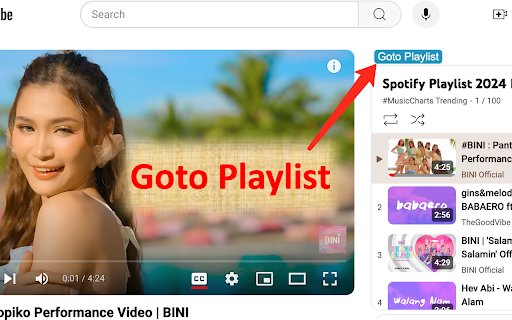 Youtube Playlist Exporter  from Chrome web store to be run with OffiDocs Chromium online