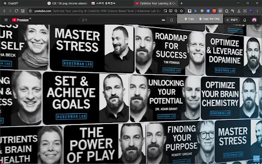 YouTube Script Copy  from Chrome web store to be run with OffiDocs Chromium online