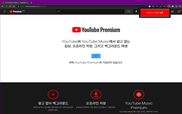 OffiDocs Chromium 온라인으로 실행되는 Chrome 웹 스토어의 Youtube Shorts 자동 재생