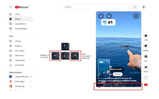 YouTube Shorts Video Controller  from Chrome web store to be run with OffiDocs Chromium online