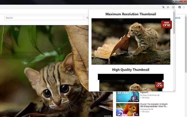 YouTube Thumbnail Extractor  from Chrome web store to be run with OffiDocs Chromium online