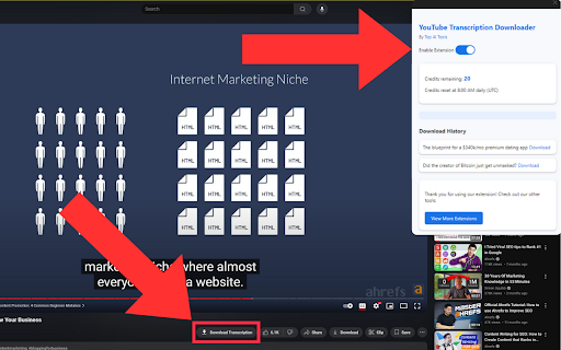 YouTube Transcription Downloader  from Chrome web store to be run with OffiDocs Chromium online
