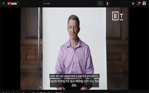 YouTube Translator Parallel (vi en)  from Chrome web store to be run with OffiDocs Chromium online