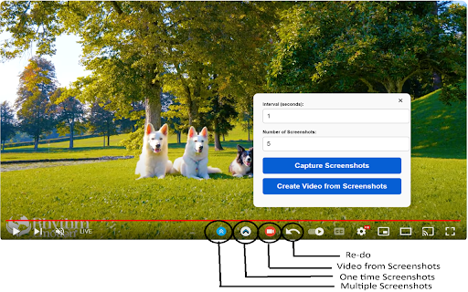 YouTube Video Analyzer  from Chrome web store to be run with OffiDocs Chromium online