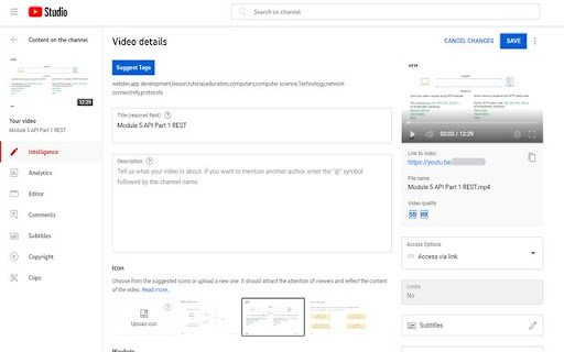 Youtube Video Tags Assistant  from Chrome web store to be run with OffiDocs Chromium online