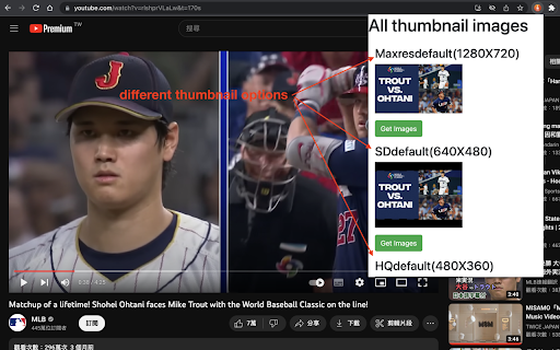 YT Youtube Thumbnail Downloader  from Chrome web store to be run with OffiDocs Chromium online