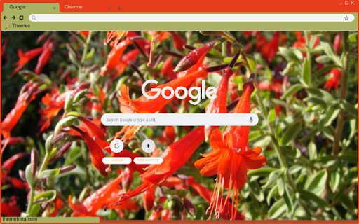 Zauschneria  from Chrome web store to be run with OffiDocs Chromium online