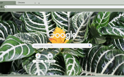 Zebra Plant  from Chrome web store to be run with OffiDocs Chromium online