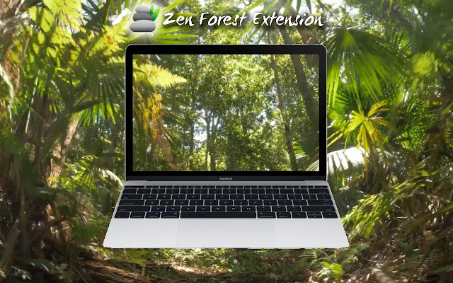 Zen Forest New Tab من متجر Chrome الإلكتروني ليتم تشغيله باستخدام OffiDocs Chromium عبر الإنترنت