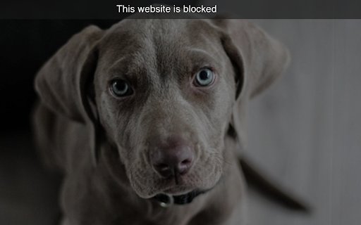 Zen mode Block distraction  from Chrome web store to be run with OffiDocs Chromium online