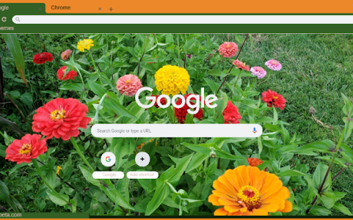 Zinnia  from Chrome web store to be run with OffiDocs Chromium online