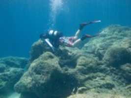 Free download Scuba Diving free photo or picture to be edited with GIMP online image editor