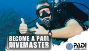 Free download scuba diving nj free photo or picture to be edited with GIMP online image editor