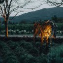 Sculpture of a Horse at a Park  screen for extension Chrome web store in OffiDocs Chromium