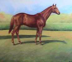 Free download SDBrandlein Thoroughbred Detail free photo or picture to be edited with GIMP online image editor