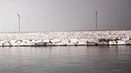 Free download Sea Alone Nature -  free video to be edited with OpenShot online video editor